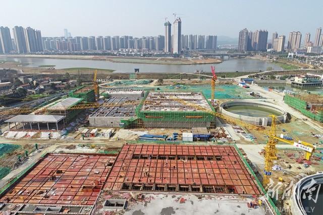 开福区苏托垸最新动态与资讯速递