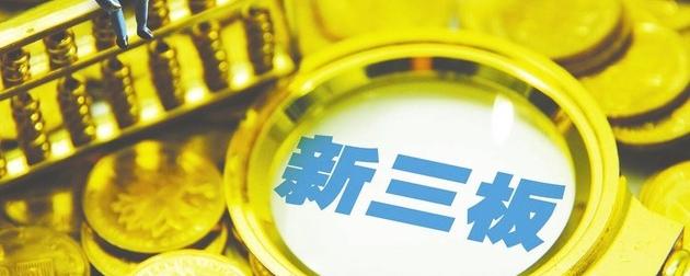 新三板上市公司的奥秘与动因探索