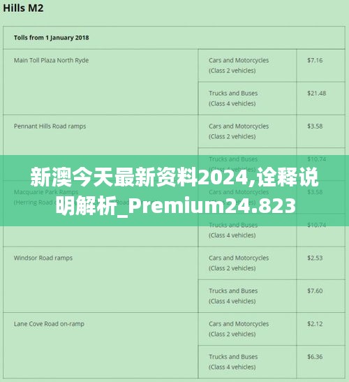 2024新澳最精准免费资料,数据导向计划_未来版41.456