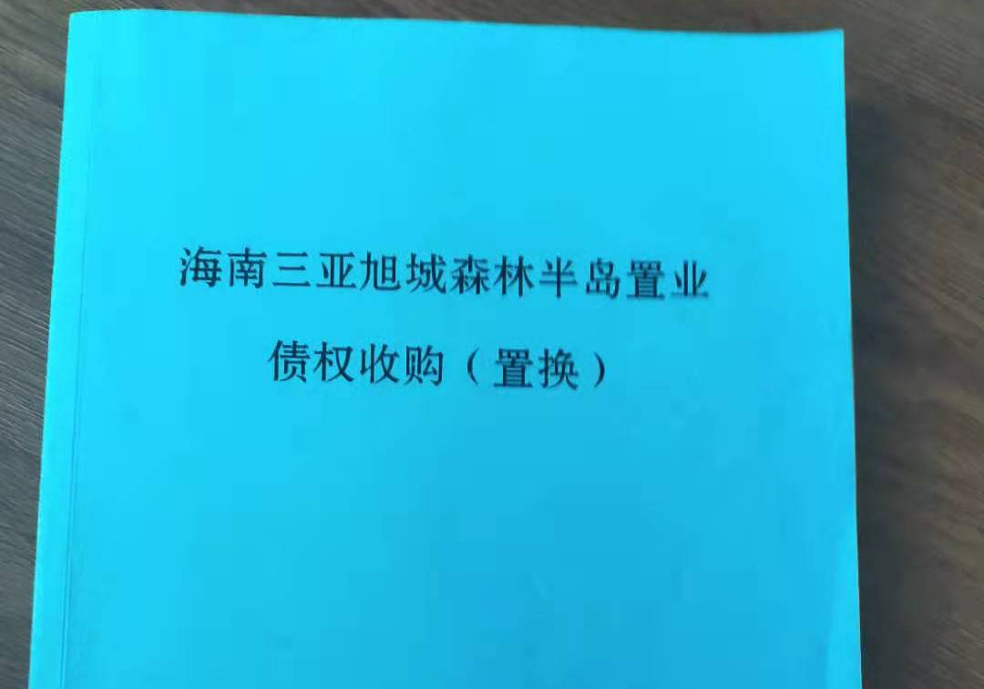 三亚森林半岛最新动态，邻里间的温馨日常揭秘