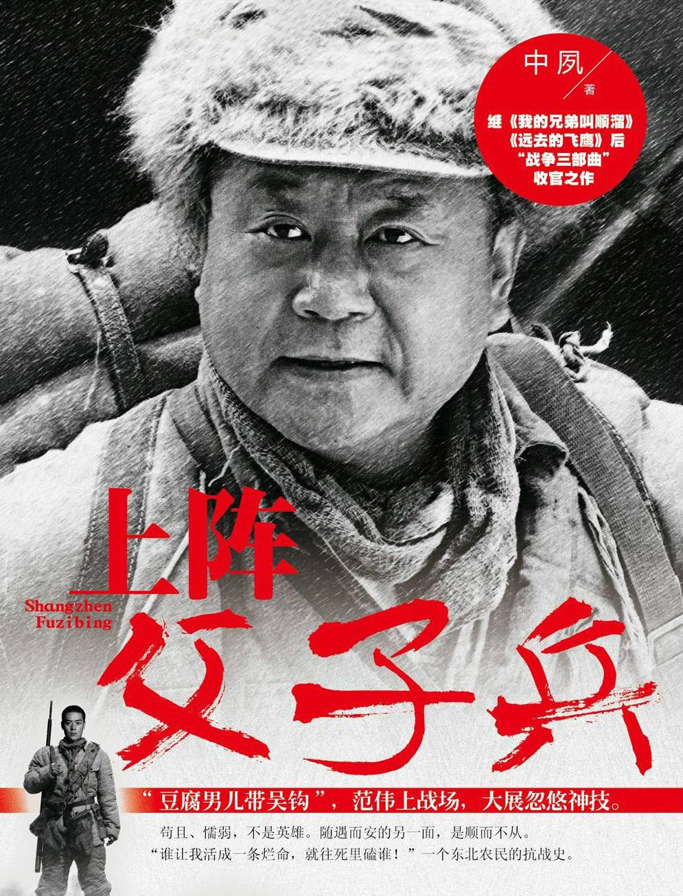 上阵父子兵电视剧,上阵父子兵电视剧之日常趣事