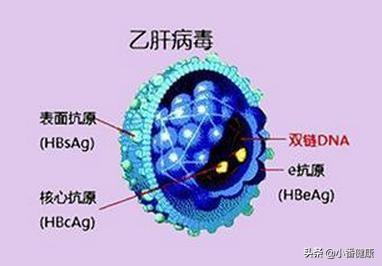 REP2139ca最新动态，温馨日常故事更新
