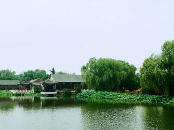香河蒋辛屯旅游小镇最新动态揭秘，科技之旅开启未来篇章