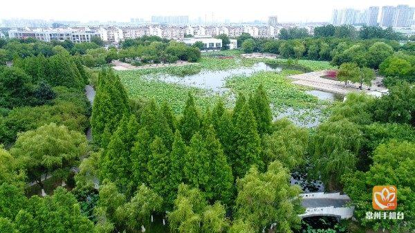钟楼区新闸区规划更新纪实，更新进展与影响探究