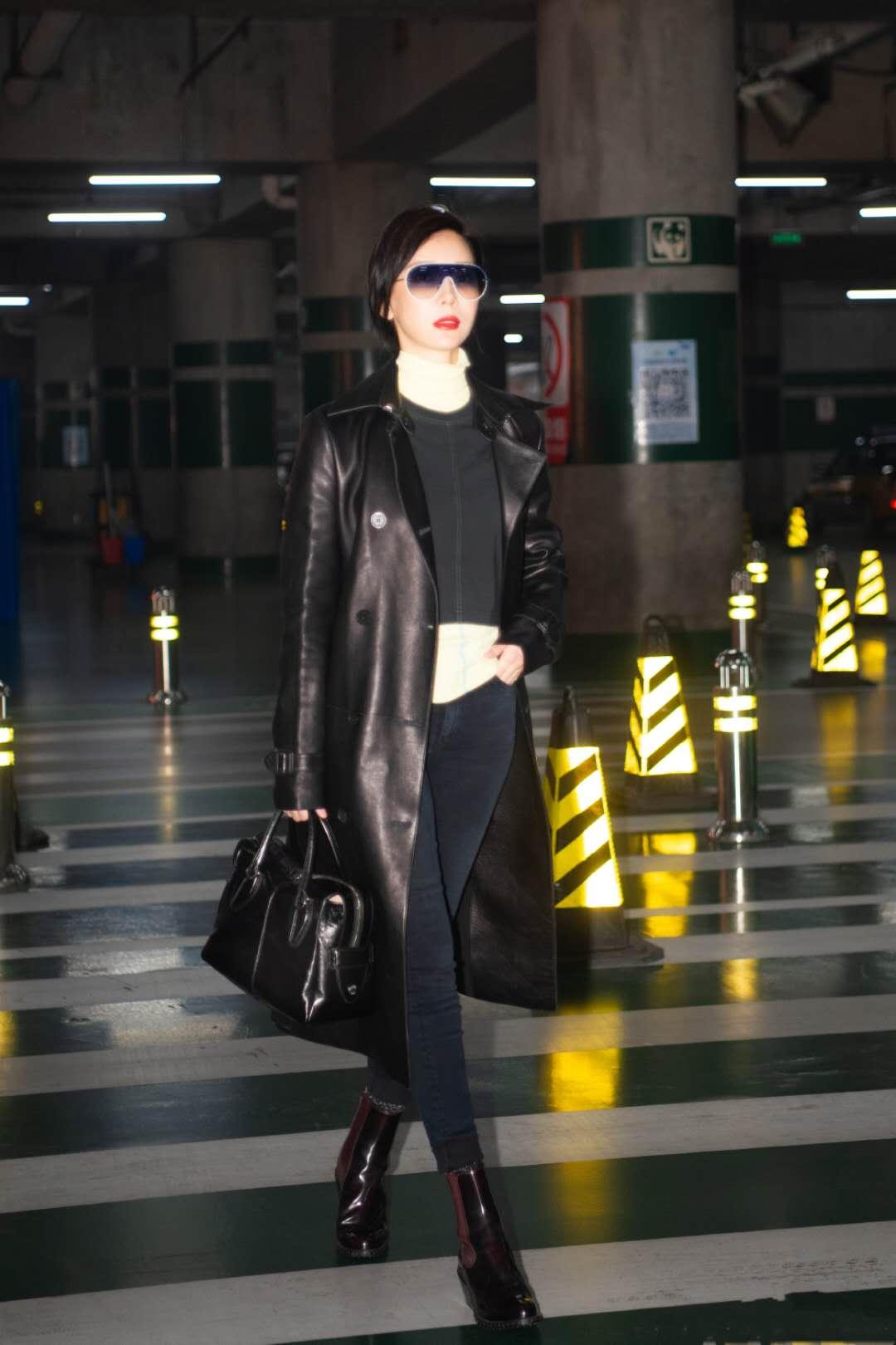 揭秘陈数老公身份，神秘伴侣究竟是谁？