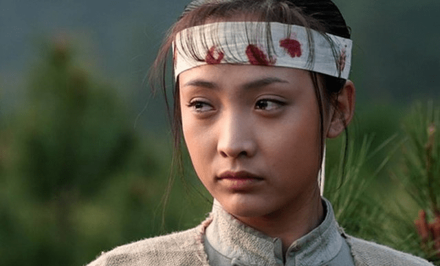 电视剧血色湘西演员表概览