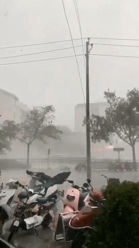 郑州地铁最新动态更新