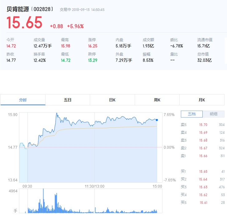 股票发行价详解，入门解析与关键要点探讨