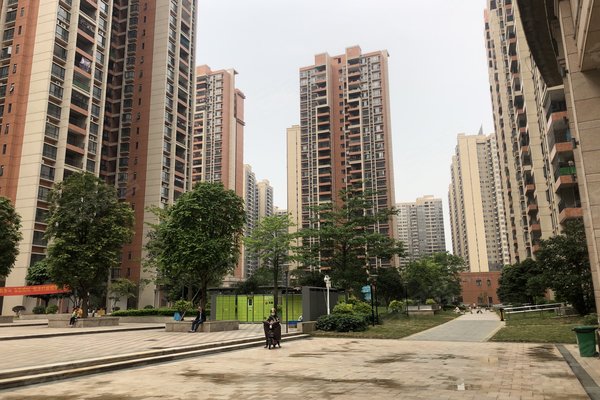 清远胜利雅苑最新房价探析，市场走势与多方观点热议。