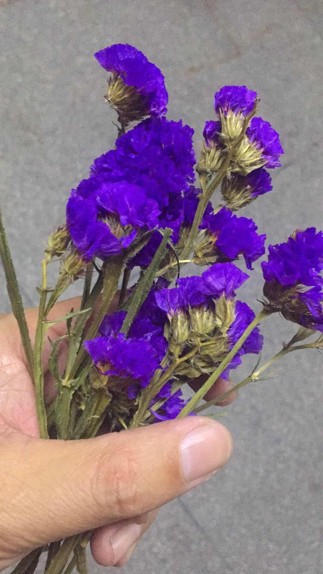 东莞翻译最新动态更新速递🌐📜