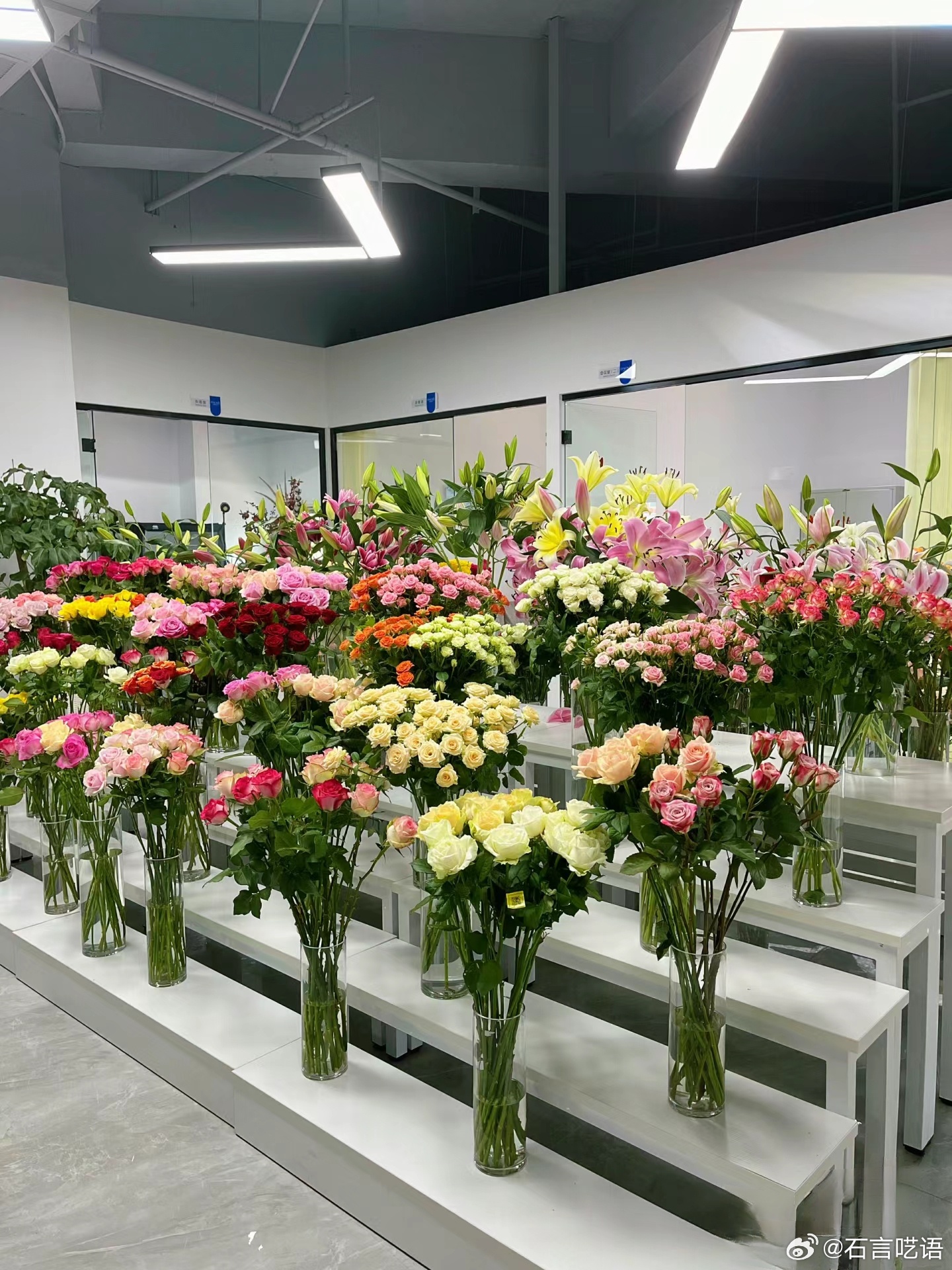 鲜花上市公司，绽放的花朵与不断进化的企业之路