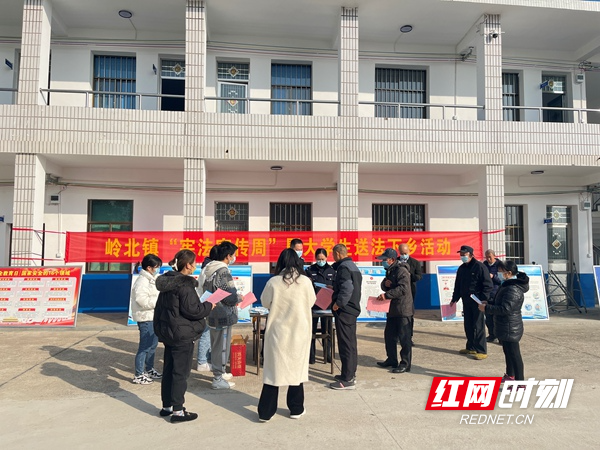 湘阴县岭北镇最新动态概览