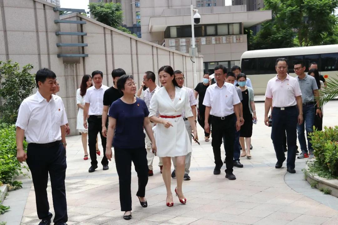 林姗最新动态解析,现象与观点全面解读