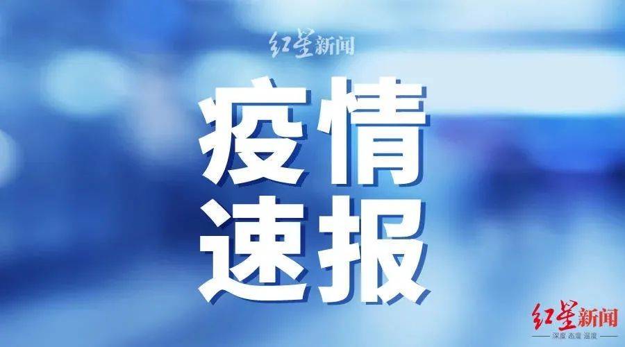 柔性石墨布