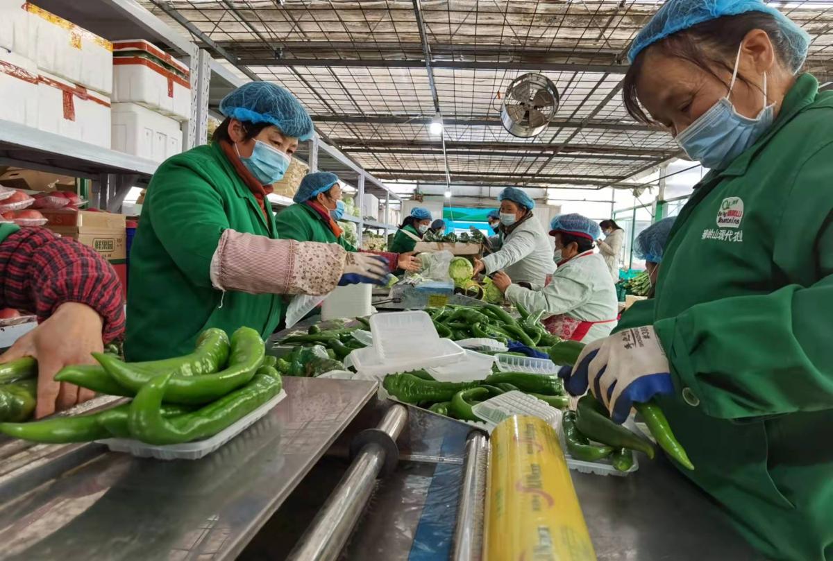 西安疫情最新动态，全面解读与应对建议